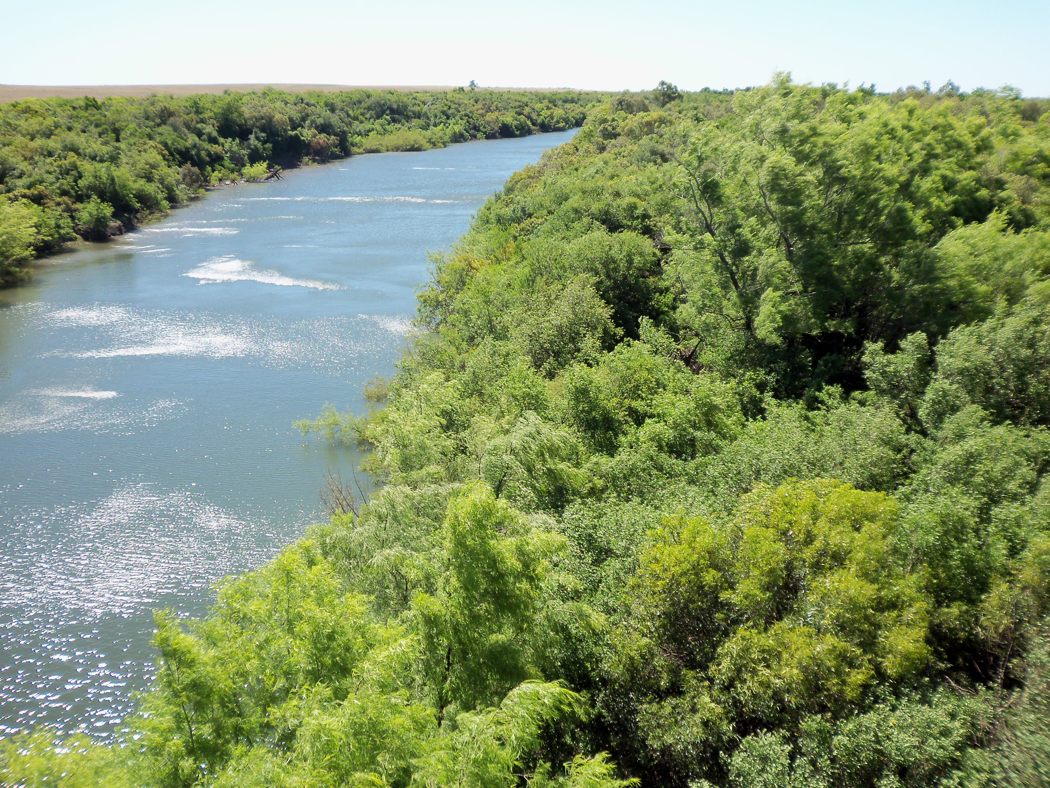 imagen Montes ribereños en el arroyo Arerunguá, departamento de SALTO.