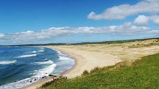 playa con vegetación, arena y mar