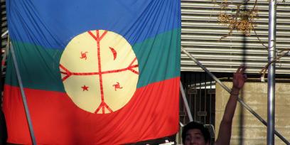 Bandera mapuche y un javen saludando.