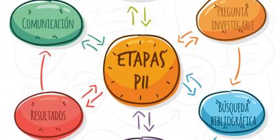 Etapas PII