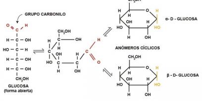 Esquema que representa la ciclación de la glucosa