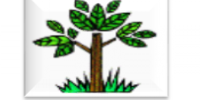 Árbol que representa la Dirección de Educación de Jóvenes y Adultos