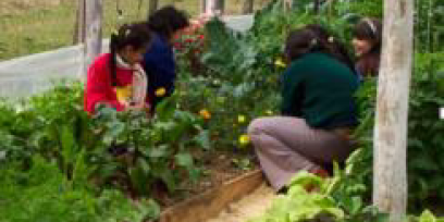 Personas en una pequeña huerta: