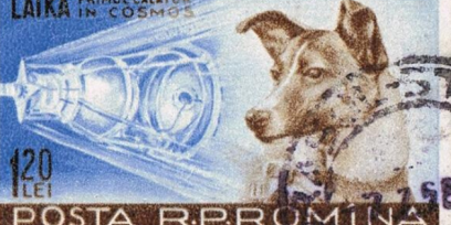 Estampilla rumana de 1959 con la imagen de Laika