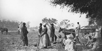 Fotografía de esclavos trabajando en el campo