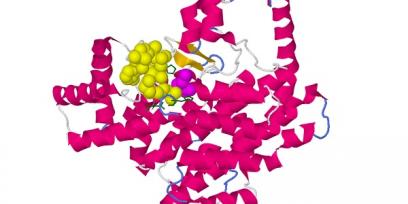 Representación de la estructura de una enzima