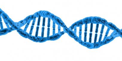 Modelo de ADN