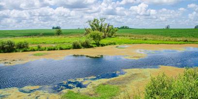 Imagen libre de derechos de autor. Paisaje de Uruguay.  