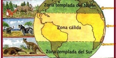 Zonas bioclimáticas. Imagen libre.