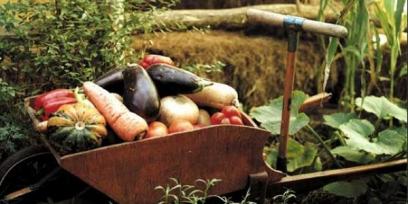 Carretilla con verduras