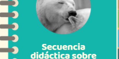 imagen de oso polar