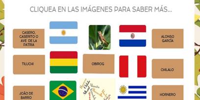 Banderas de Argentina, Bolivia, Brasil, Paraguay, Perú, Uruguay y los distintos nombres del hornero en esos países.