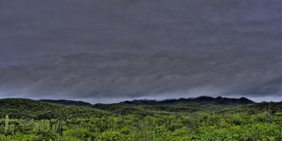Así luce la tierra desértica después de las lluvias de la depresión