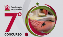 7mo concurso