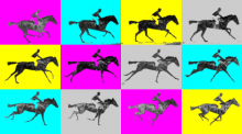 Imagen de la secuencia UN CABALLO AL GALOPE Y EL JINETE de  Eadweard Muybridge