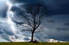 Silueta de árbol sin hojas en una llanura. De fondo, una tormenta y un rayo muy luminoso del lado izquierdo de la imagen.
