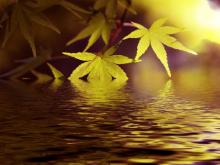 mayo, otoño