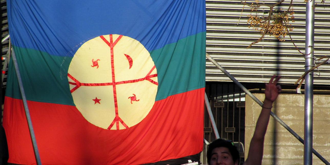 Bandera mapuche y un javen saludando.