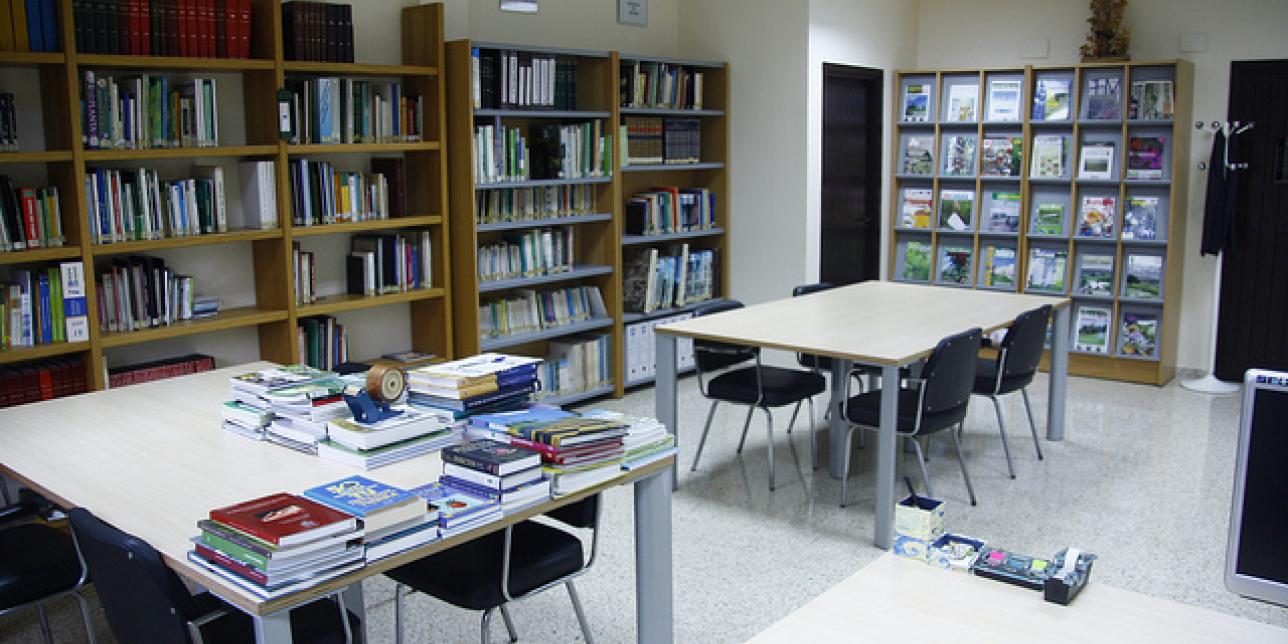 Espacio para estudio dentro de una biblioteca escolar.