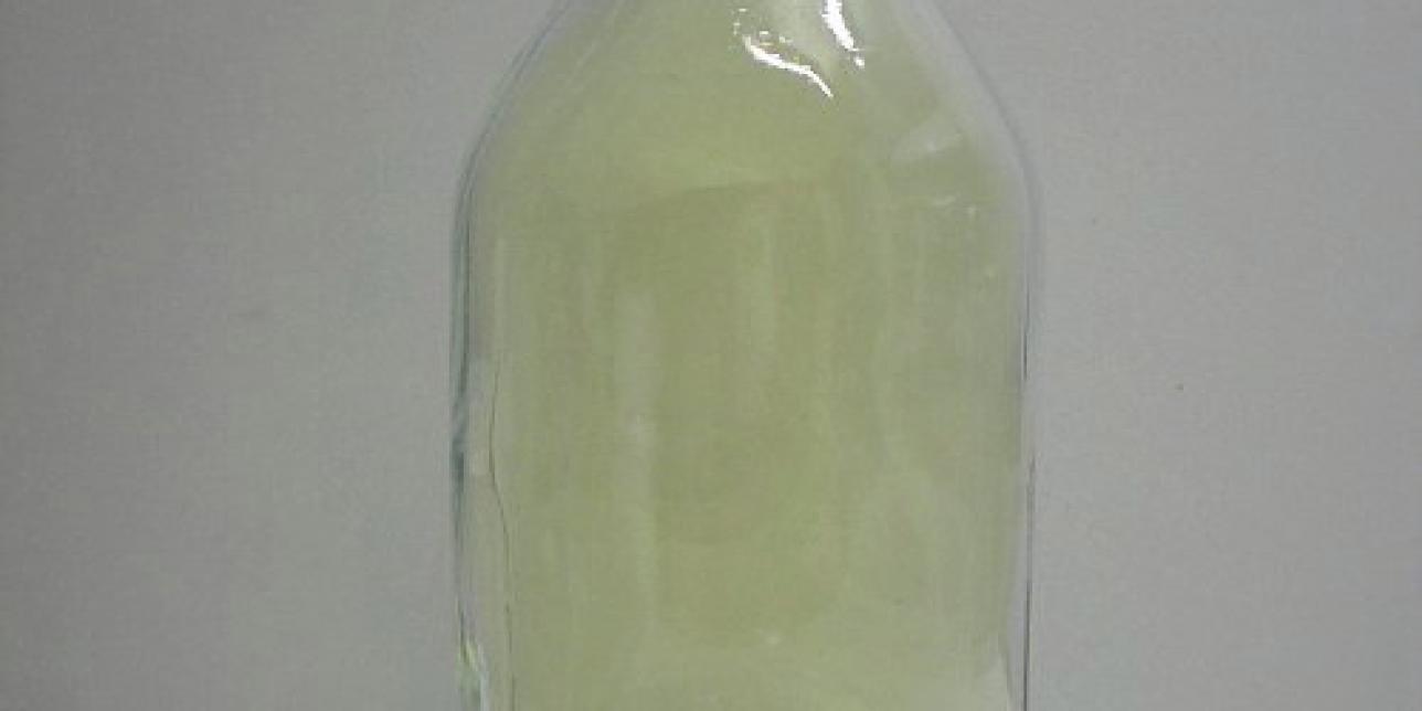 Gas dicloro en una botella