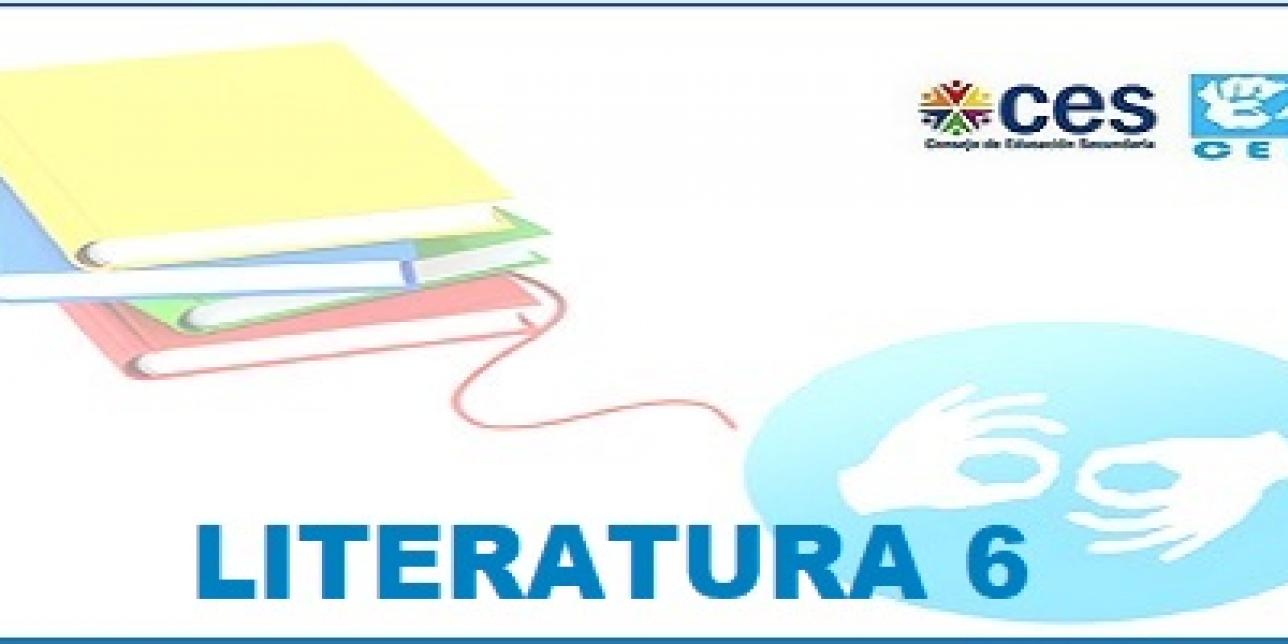 Literatura 6