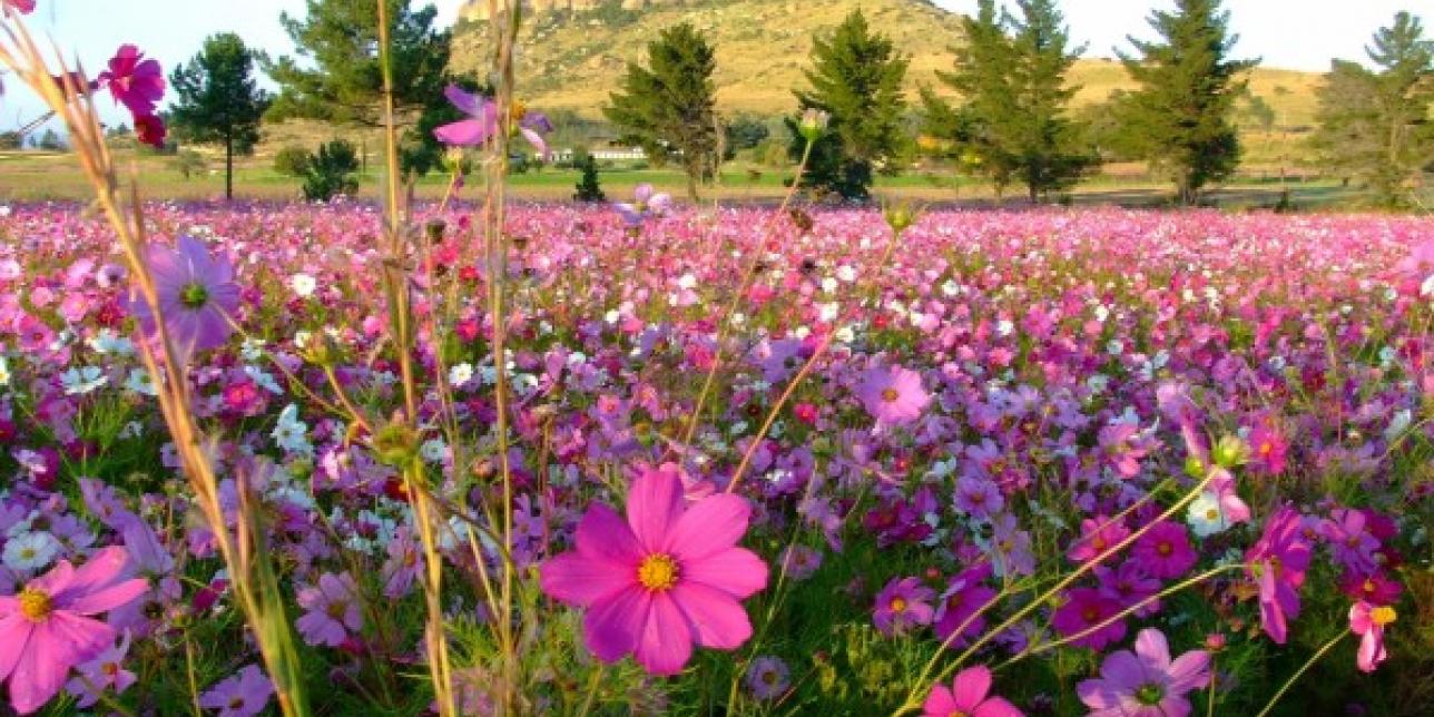 equinoccio de primavera