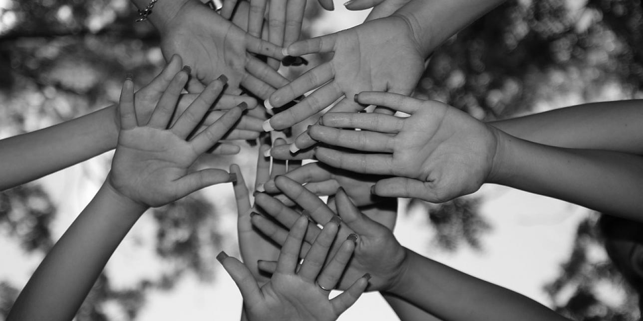 Imagen que muestra muchas manos juntas, simbolizando la unión, el trabajo en equipo