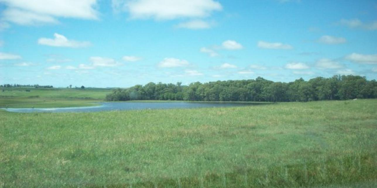 Campo en Durazno (Uruguay)