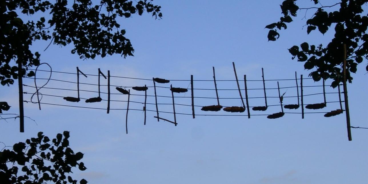 Imagen que muestra notas musicales desplegadas a lo alto, con el cielo de fondo