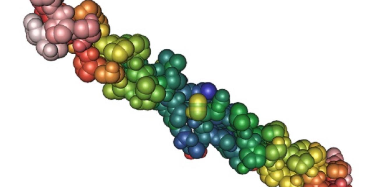 Representación de la estructura 3 D del colágeno