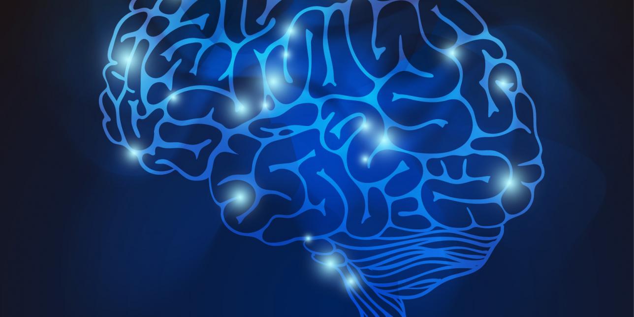 Imagen de un cerebro y conexión de redes neuronales