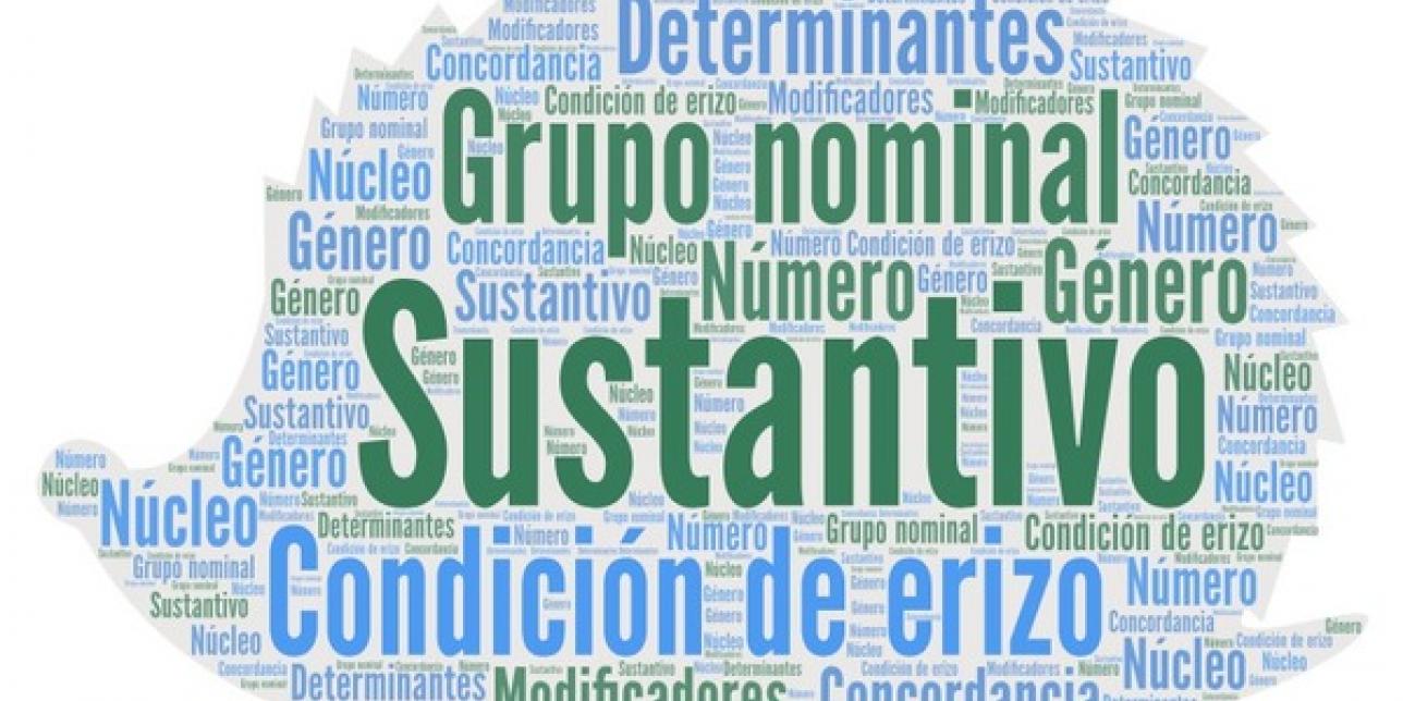 Erizo con palabras clave sobre el tema: grupo nominal, sustantivo, determinantes, modificadores, núcleo, concordancia