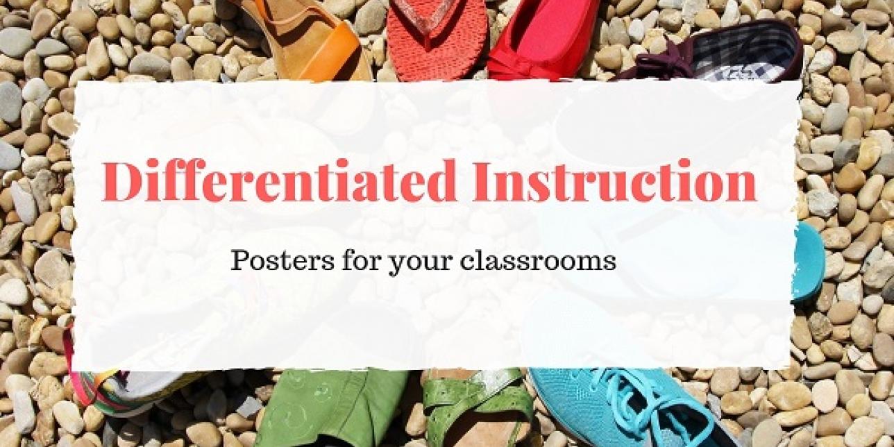 Differentiated instruction posters