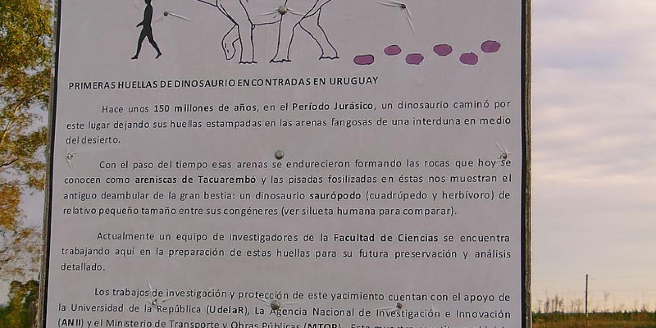 Huellas de Dinosaurios