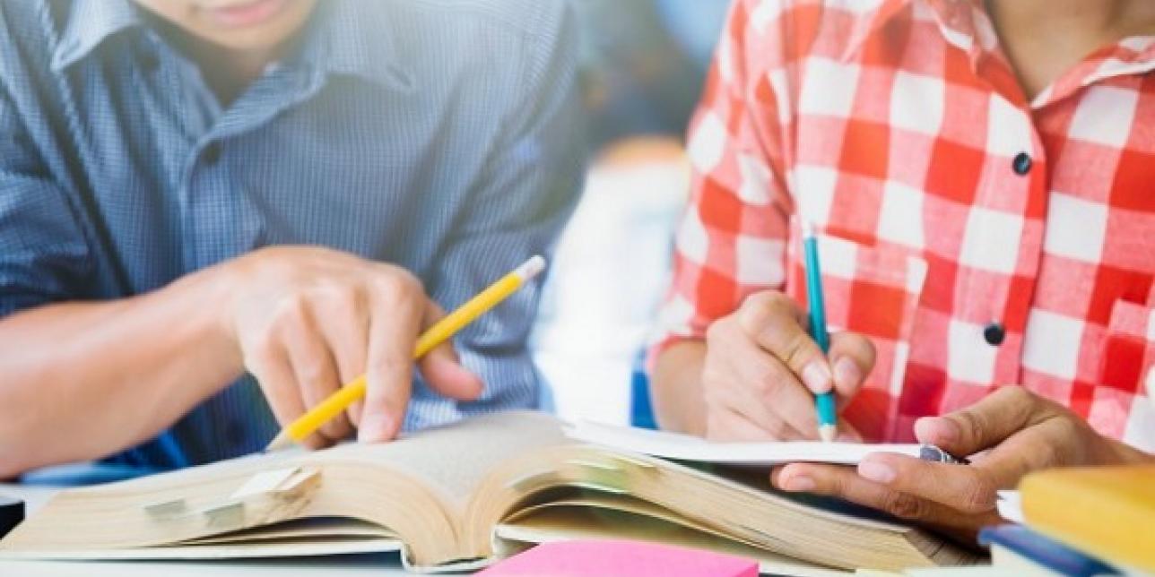 Imagen de dos estudiantes repasando juntos un libro.