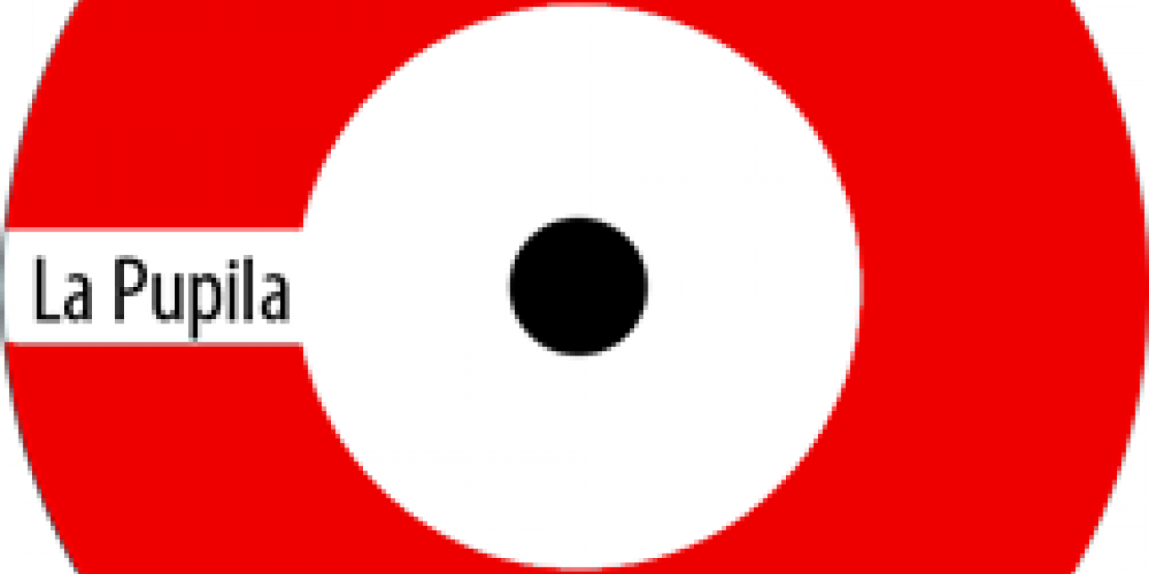 Logo de revista La Pupila