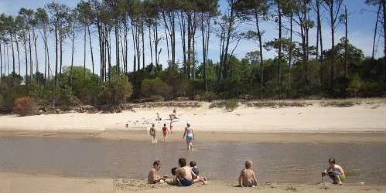 Gente sentada en la playa.