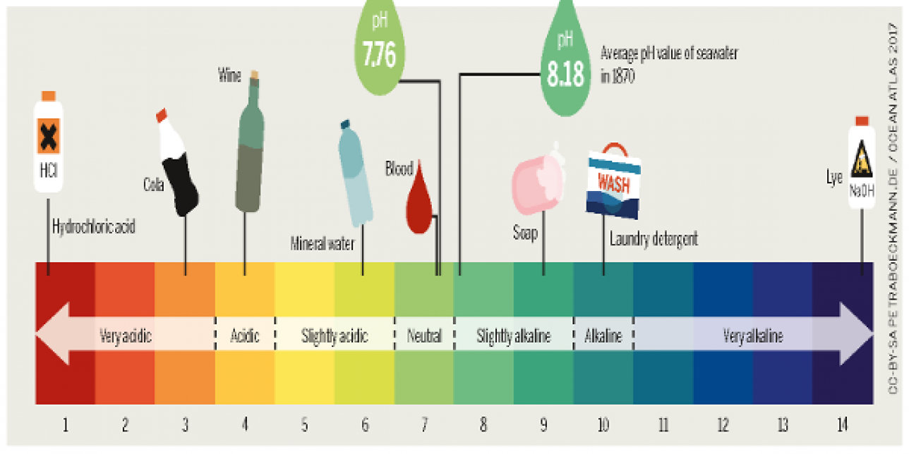 Escala de pH con algunos productos de uso cotidiano.