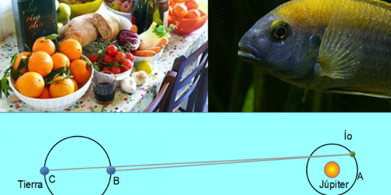 La imagen muesstra alimentos, un pez y un diagrama del experimento de Roemer.