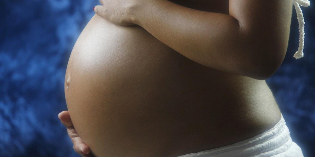 Vientre de una mujer embarazada. Imagen de dominio público. 