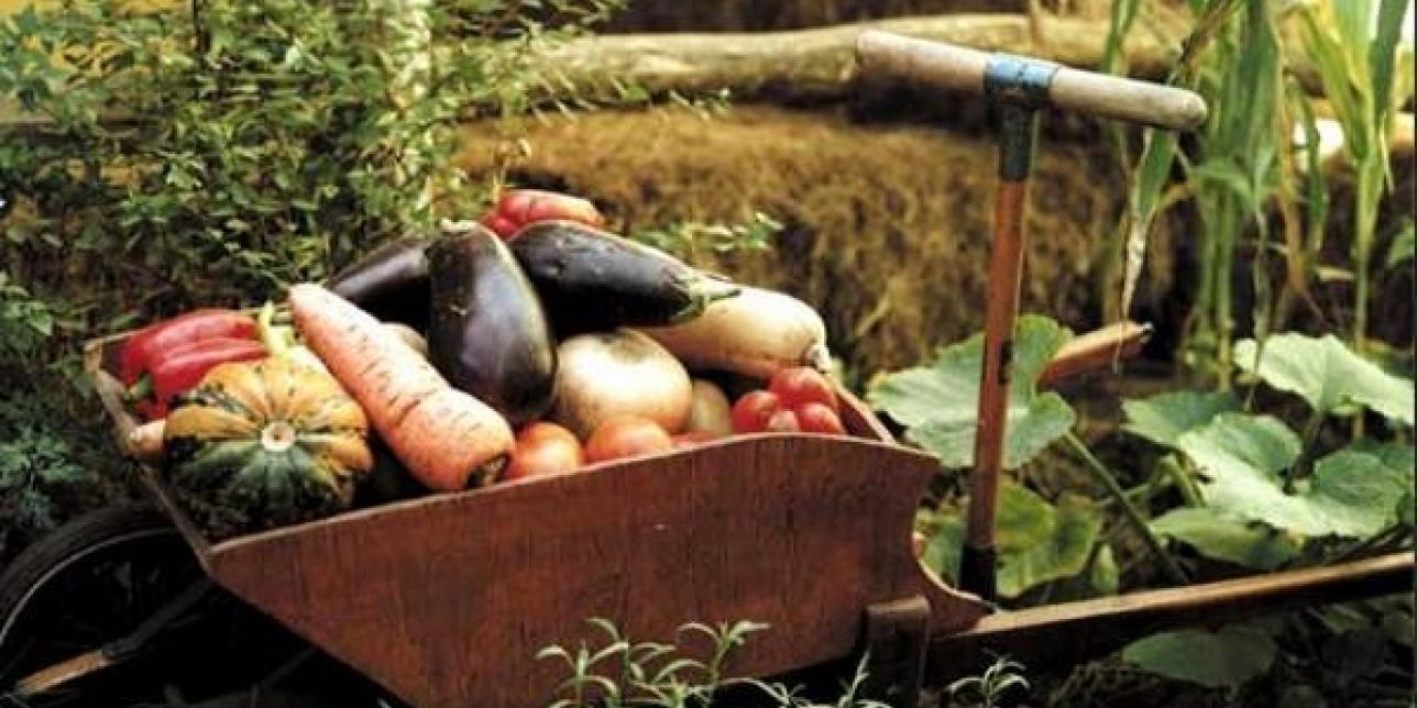 Carretilla con verduras