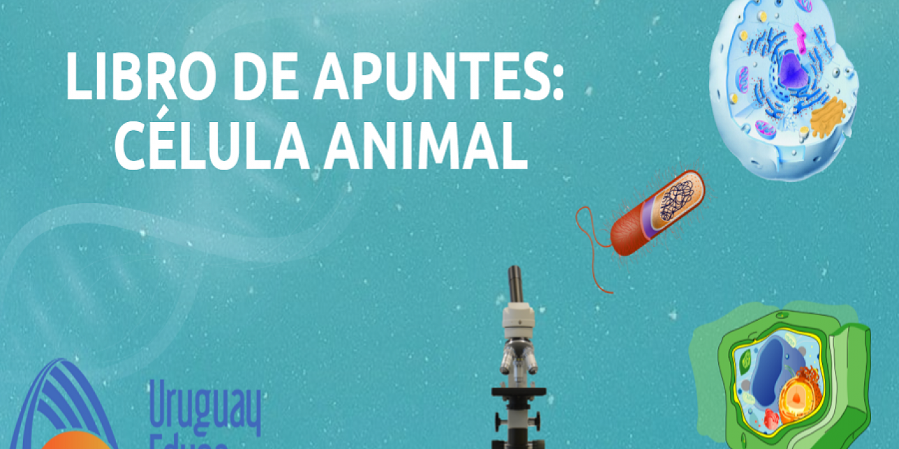 Célula animal