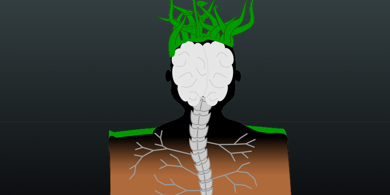 Cabeza híbrida de humano y planta 