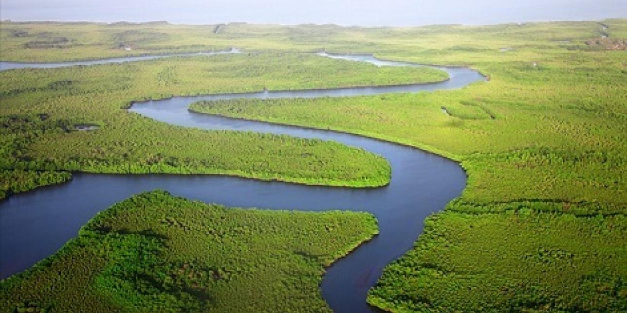 Fotogafía aérea de un río sinuoso en una llanura verde. Imagen libre de derechos de autor. 