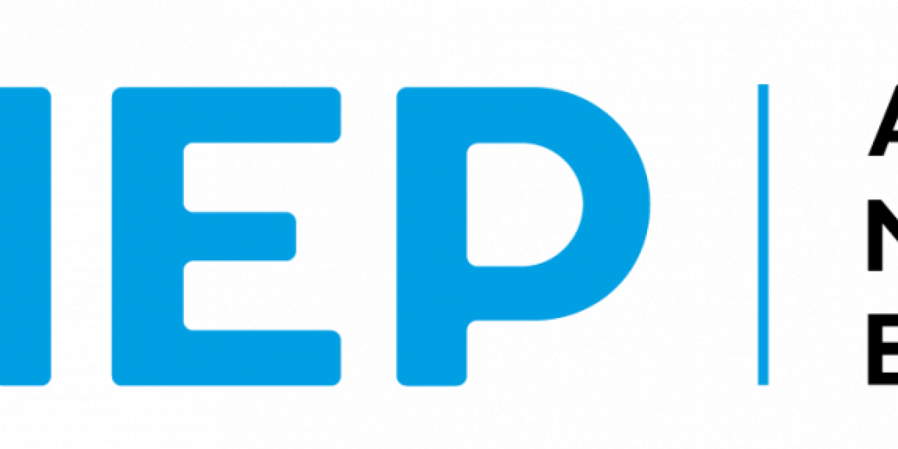 Logo ANEP