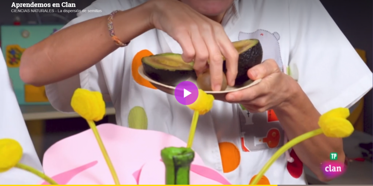 Captura de un video donde una mano sostiene un plato con una palta