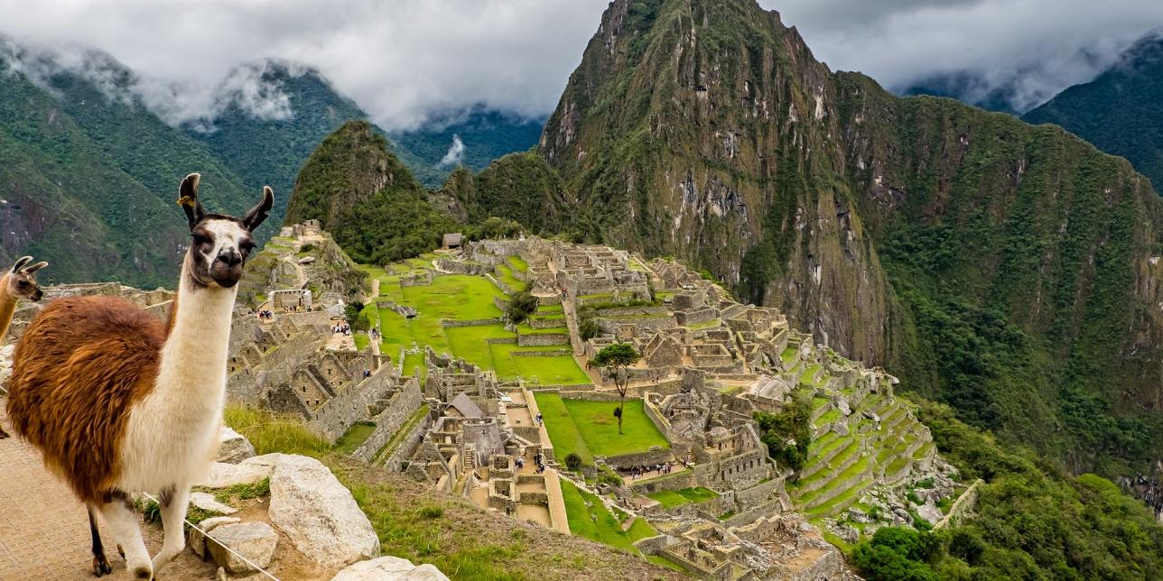 https://pixabay.com/es/photos/per%c3%ba-machu-picchu-lama-2774925/