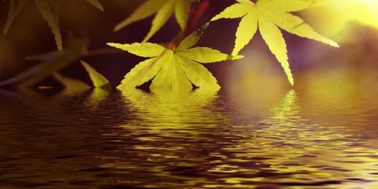 mayo, otoño