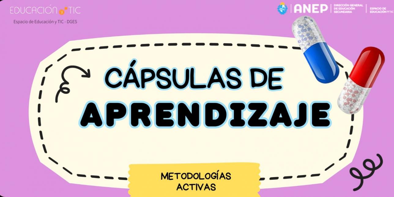 Sobre un fondo blanco se presenta una librillo enrulado donde figura el titular de las diferentes secciones que lo componen.